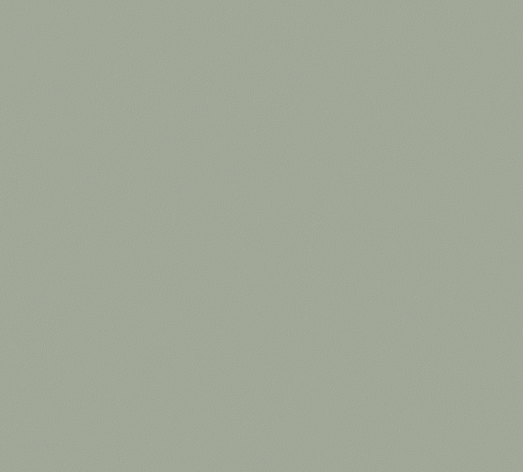 Canadian Grey 168 Dolomite