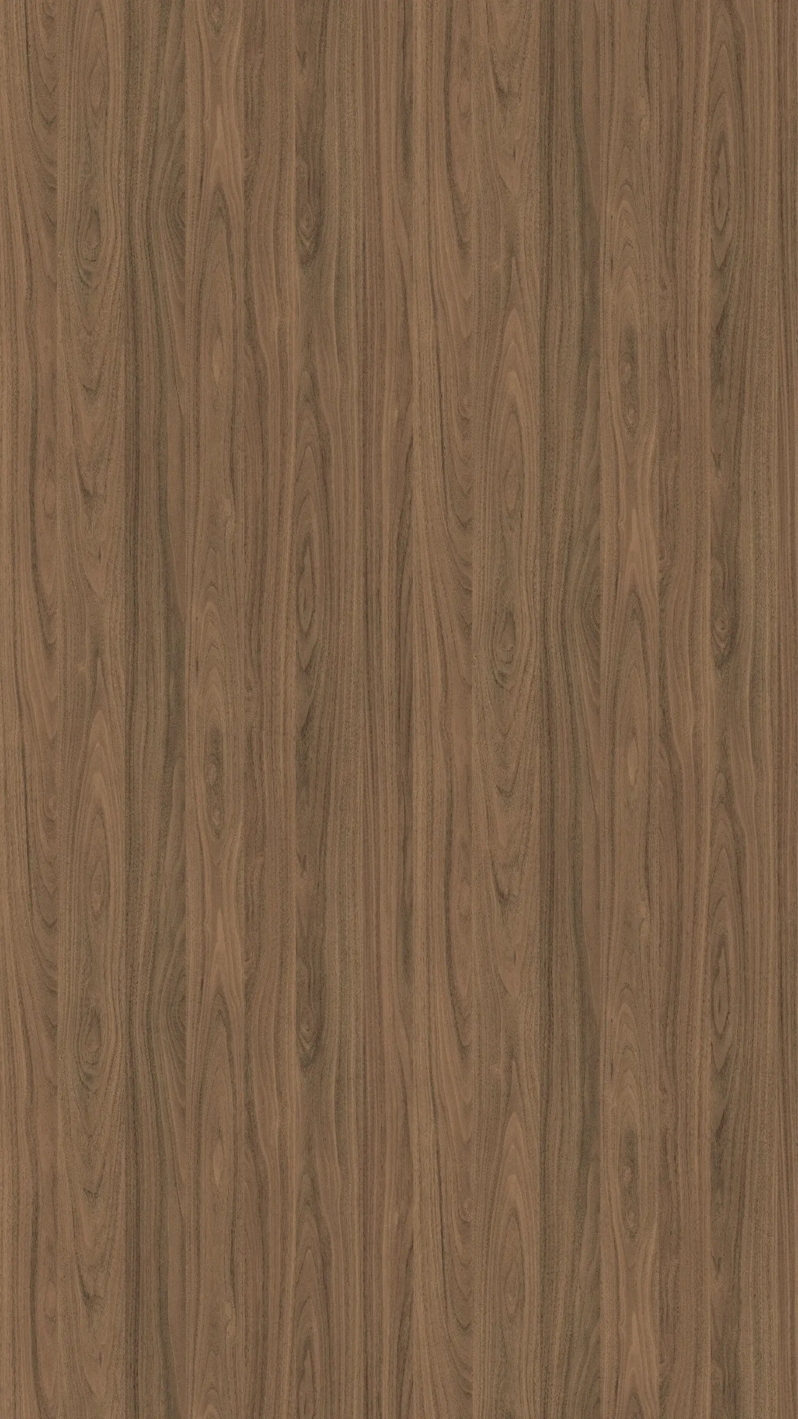 Natural Carini Walnut