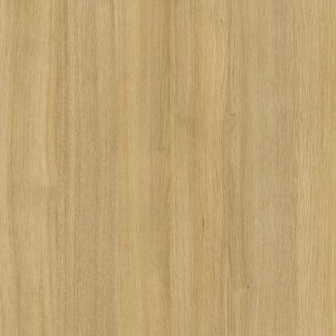 Rhapsody T585