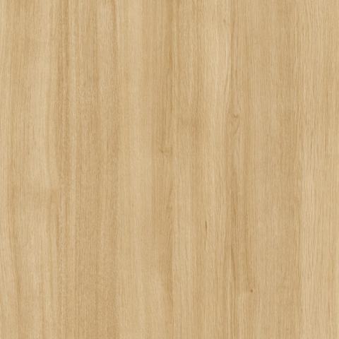 Sheer Beauty T581