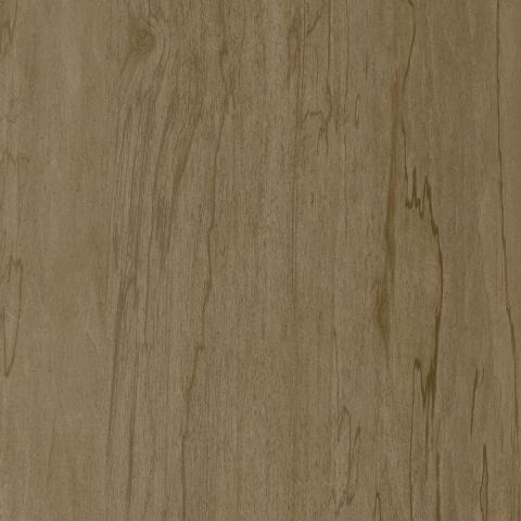 Sweet & Savory T588