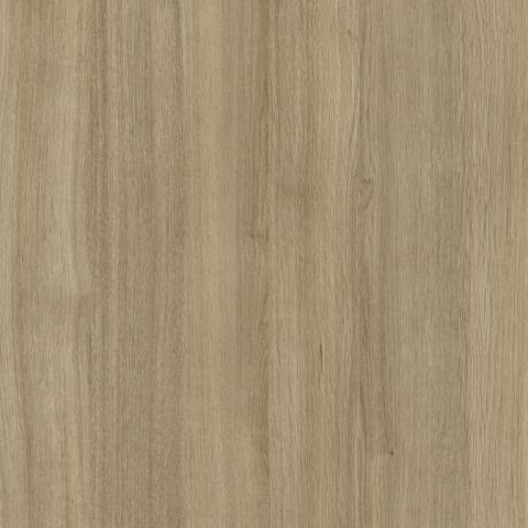 The Chameleon T584