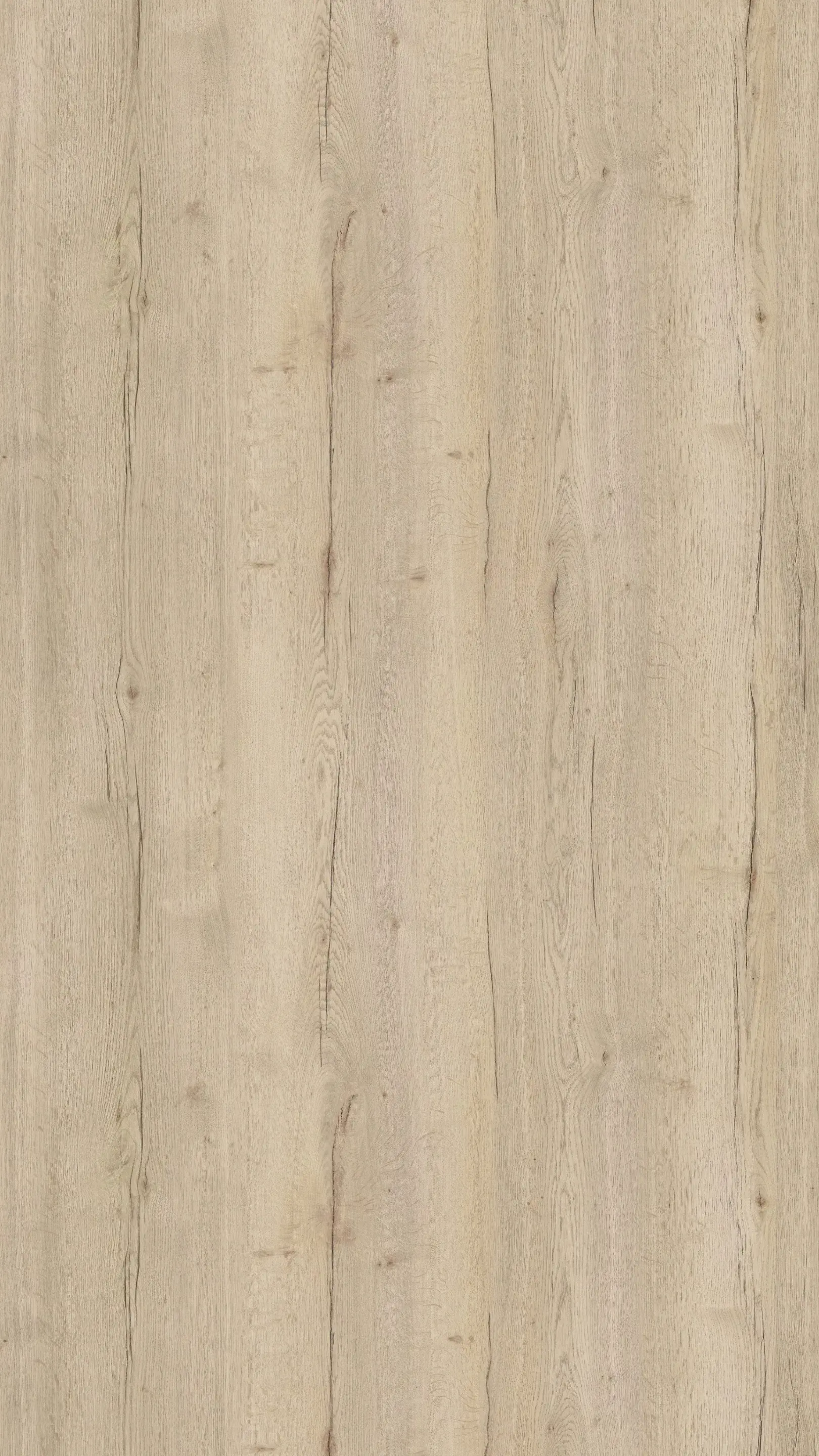 White Halifax Oak