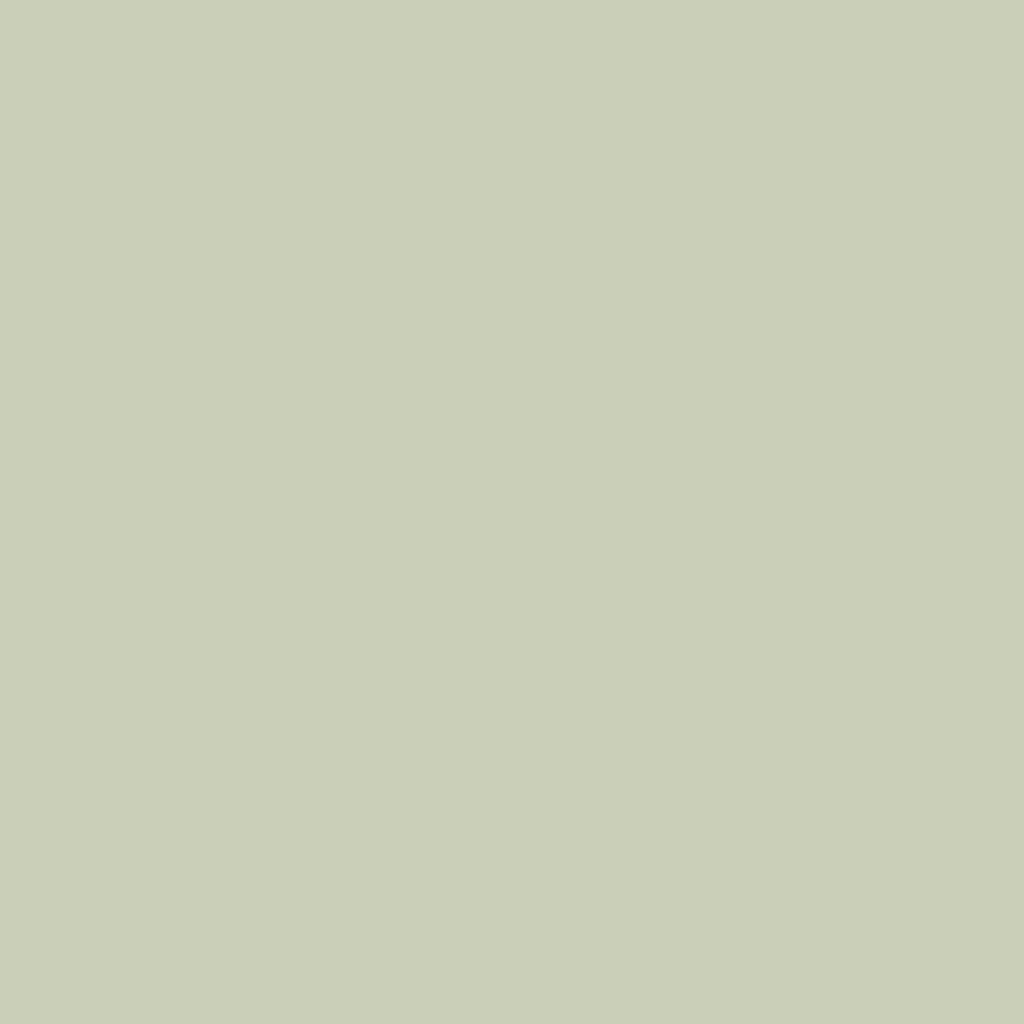 Willow Grey 802 Dolomite